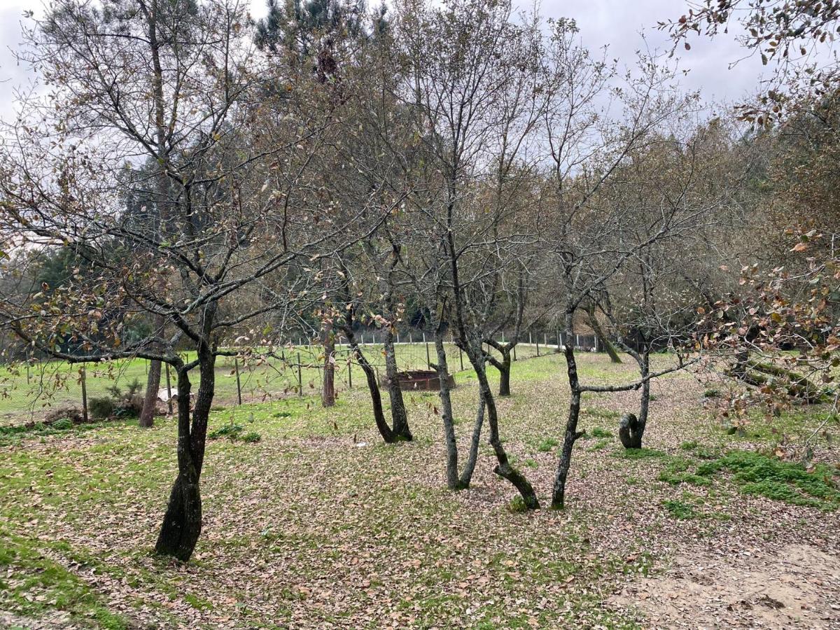 Quinas Playground Villa Souto da Carpalhosa Exterior foto